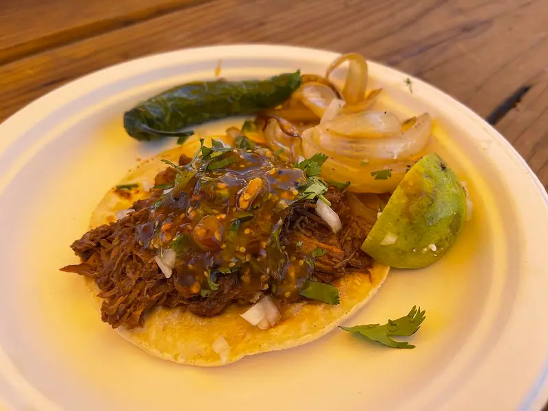 A shredded beef taco on a corn tortilla with green salsa, onion and cilantro, plus grilled onions, a roasted chile and lime