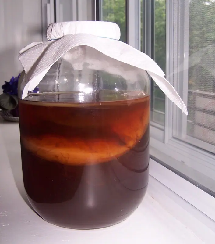 Large glass jar of dark amber kombucha with a pale SCOBY floating inside, covered with a paper towel on a sunny windowsill.