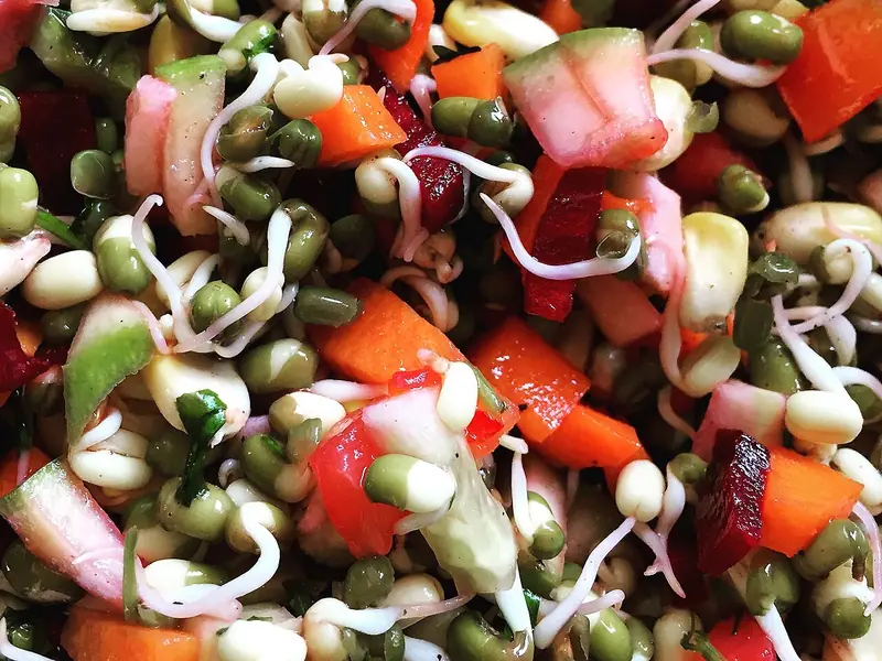Nahaufnahme von gekeimten Mungbohnen und anderen Sprossen, gemischt mit gewürfelter Karotte, Roter Bete, roter Paprika, Gurke und Kräutern.